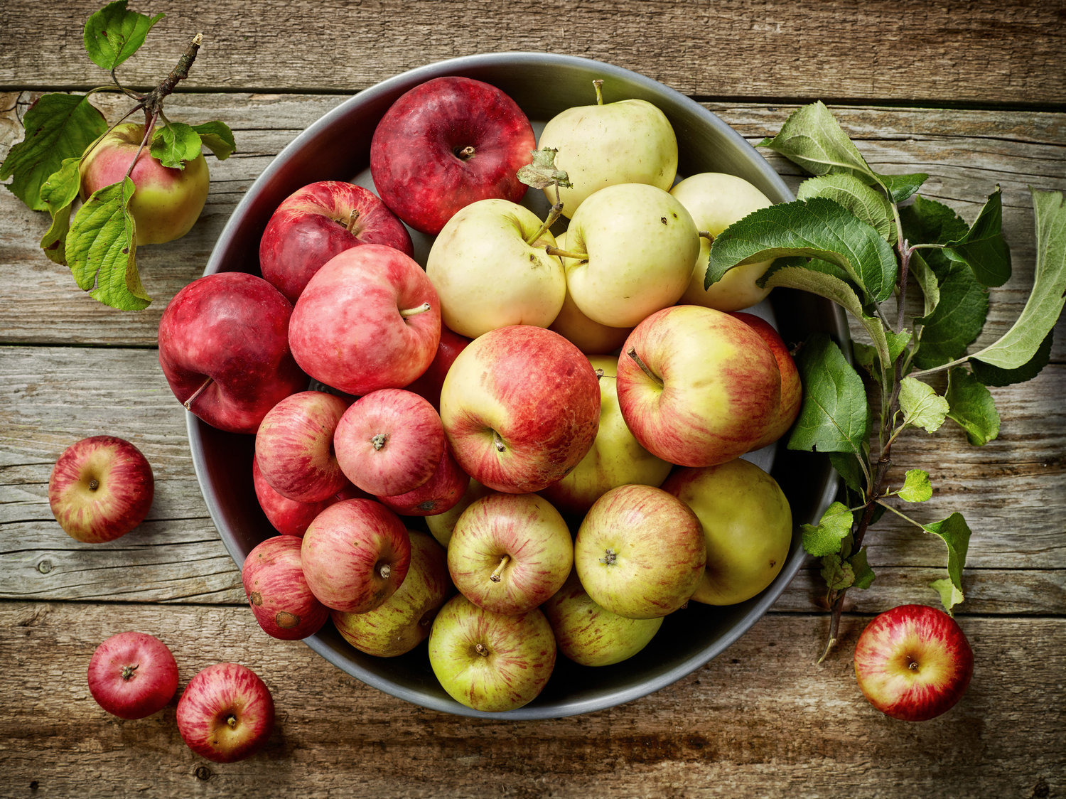 From straight to the table or a detour into the dehydrator or slow cooker, apples can fill out your favorite menu and your favorite memories.